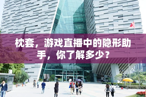 枕套，游戏直播中的隐形助手，你了解多少？