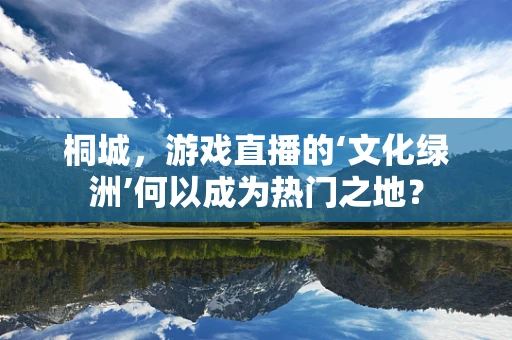 桐城，游戏直播的‘文化绿洲’何以成为热门之地？