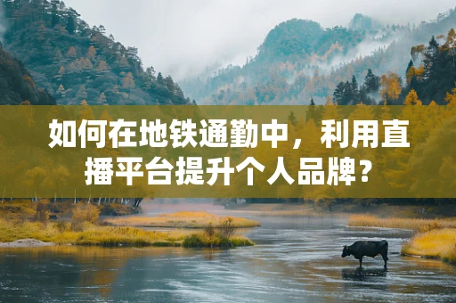 如何在地铁通勤中，利用直播平台提升个人品牌？