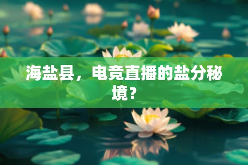 海盐县，电竞直播的盐分秘境？