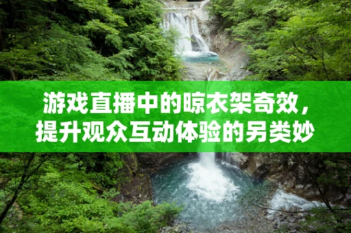 游戏直播中的晾衣架奇效，提升观众互动体验的另类妙招？
