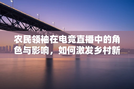 农民领袖在电竞直播中的角色与影响，如何激发乡村新活力？