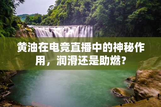 黄油在电竞直播中的神秘作用，润滑还是助燃？