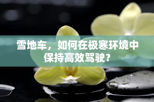 雪地车，如何在极寒环境中保持高效驾驶？