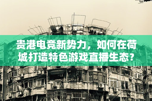 贵港电竞新势力，如何在荷城打造特色游戏直播生态？