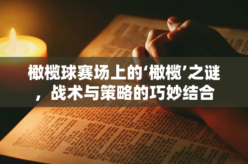 橄榄球赛场上的‘橄榄’之谜，战术与策略的巧妙结合