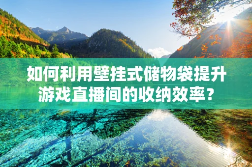 如何利用壁挂式储物袋提升游戏直播间的收纳效率？