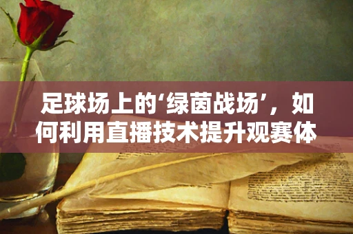 足球场上的‘绿茵战场’，如何利用直播技术提升观赛体验？