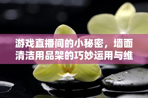 游戏直播间的小秘密，墙面清洁用品架的巧妙运用与维护