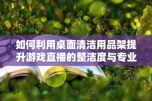 如何利用桌面清洁用品架提升游戏直播的整洁度与专业感？
