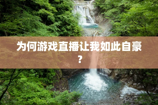 为何游戏直播让我如此自豪？