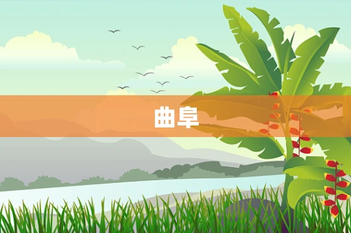 曲阜