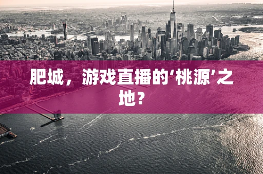 肥城，游戏直播的‘桃源’之地？