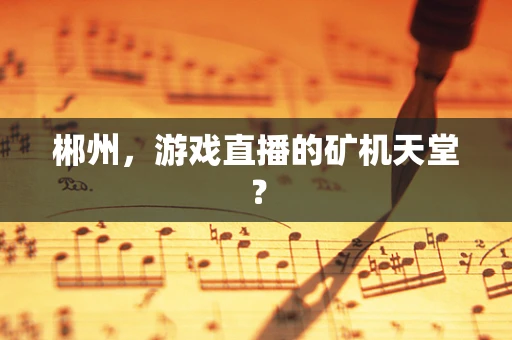 郴州，游戏直播的矿机天堂？