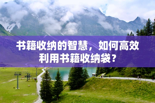 书籍收纳的智慧，如何高效利用书籍收纳袋？