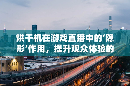 烘干机在游戏直播中的‘隐形’作用，提升观众体验的秘密武器？