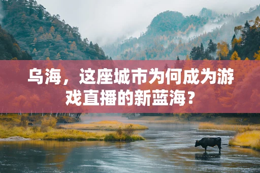 乌海，这座城市为何成为游戏直播的新蓝海？