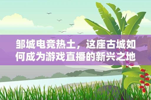 邹城电竞热土，这座古城如何成为游戏直播的新兴之地？