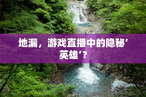 地漏，游戏直播中的隐秘‘英雄’？