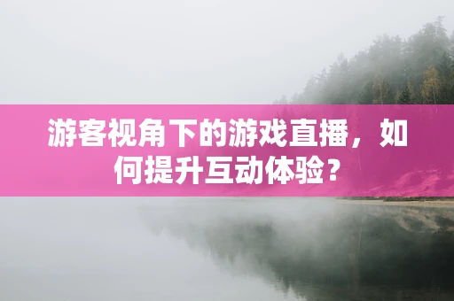 游客视角下的游戏直播，如何提升互动体验？