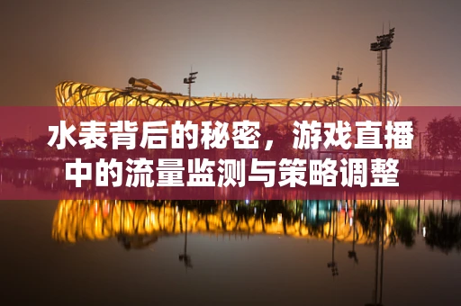 水表背后的秘密，游戏直播中的流量监测与策略调整