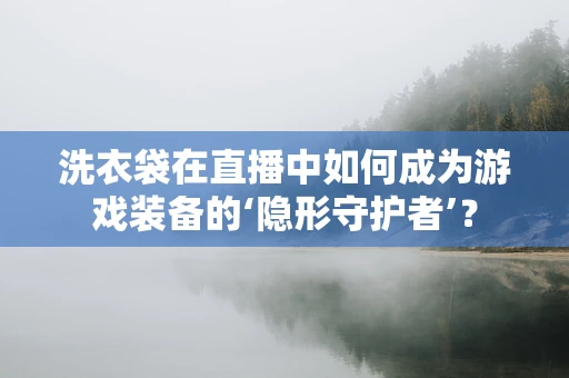 洗衣袋在直播中如何成为游戏装备的‘隐形守护者’？