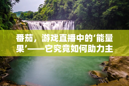 番茄，游戏直播中的‘能量果’——它究竟如何助力主播提升观众互动？