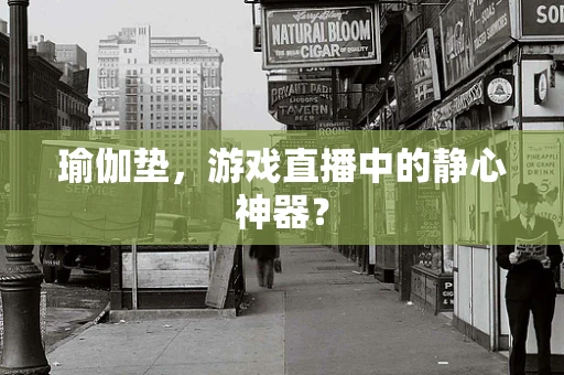 瑜伽垫，游戏直播中的静心神器？
