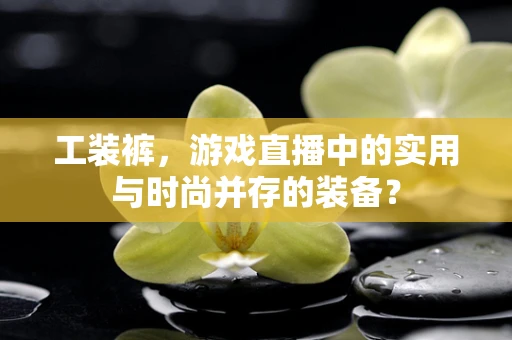 工装裤，游戏直播中的实用与时尚并存的装备？