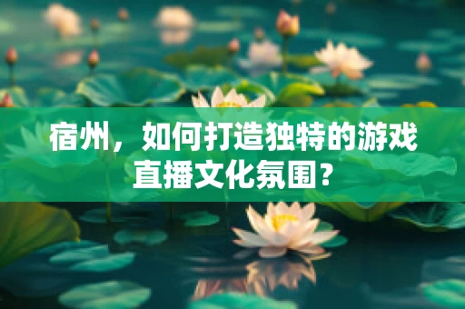 宿州，如何打造独特的游戏直播文化氛围？