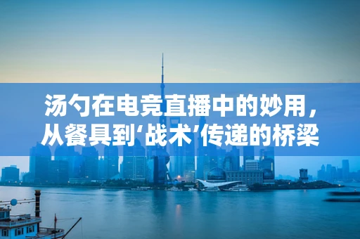 汤勺在电竞直播中的妙用，从餐具到‘战术’传递的桥梁？