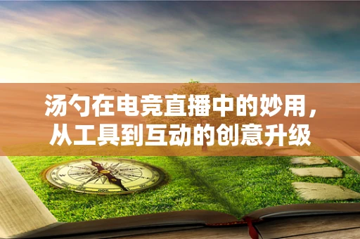 汤勺在电竞直播中的妙用，从工具到互动的创意升级