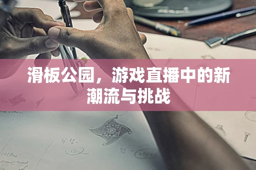 滑板公园，游戏直播中的新潮流与挑战