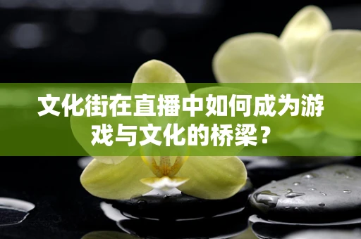 文化街在直播中如何成为游戏与文化的桥梁？