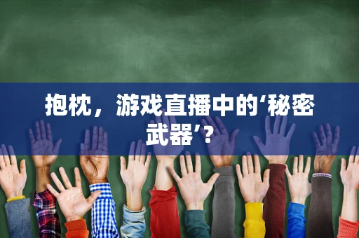 抱枕，游戏直播中的‘秘密武器’？