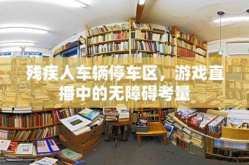 残疾人车辆停车区，游戏直播中的无障碍考量