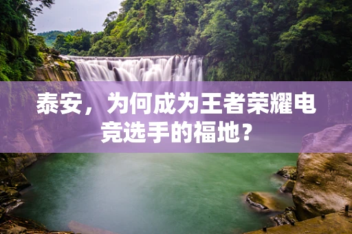 泰安，为何成为王者荣耀电竞选手的福地？