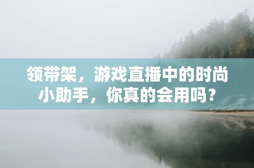 领带架，游戏直播中的时尚小助手，你真的会用吗？