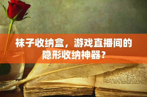 袜子收纳盒，游戏直播间的隐形收纳神器？