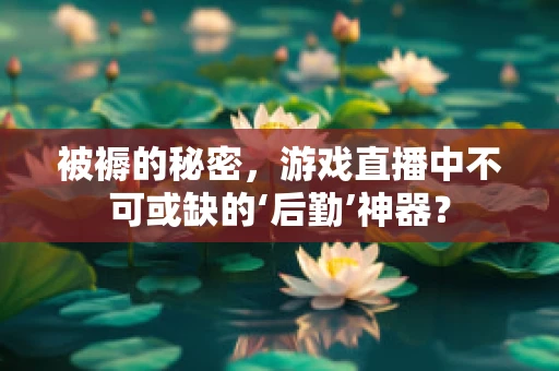 被褥的秘密，游戏直播中不可或缺的‘后勤’神器？