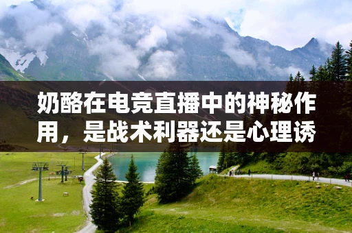 奶酪在电竞直播中的神秘作用，是战术利器还是心理诱饵？