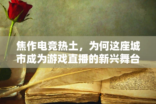 焦作电竞热土，为何这座城市成为游戏直播的新兴舞台？