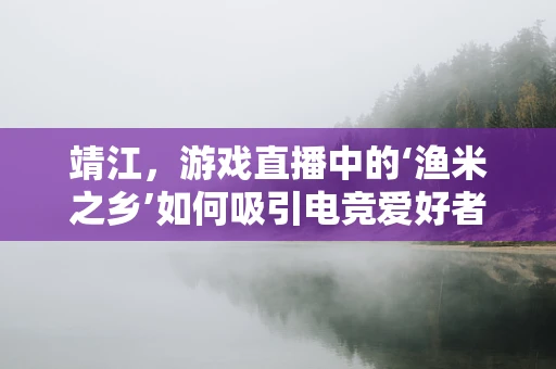 靖江，游戏直播中的‘渔米之乡’如何吸引电竞爱好者？