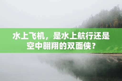 水上飞机，是水上航行还是空中翱翔的双面侠？