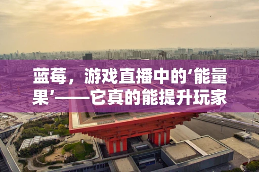 蓝莓，游戏直播中的‘能量果’——它真的能提升玩家表现吗？