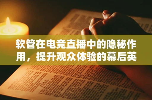 软管在电竞直播中的隐秘作用，提升观众体验的幕后英雄？