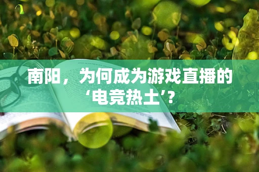 南阳，为何成为游戏直播的‘电竞热土’？