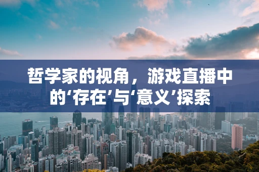 哲学家的视角，游戏直播中的‘存在’与‘意义’探索