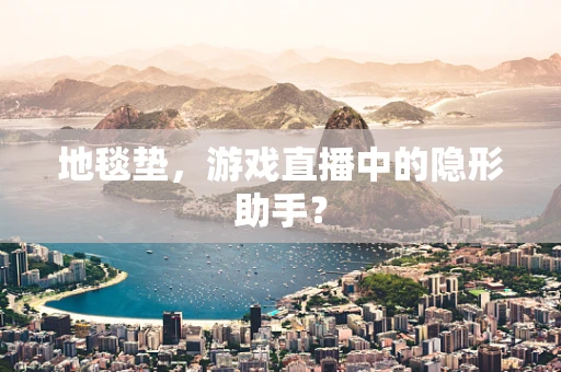地毯垫，游戏直播中的隐形助手？