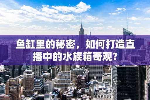 鱼缸里的秘密，如何打造直播中的水族箱奇观？